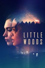 Download Streaming Film Little Woods (2019) Subtitle Indonesia HD Bluray